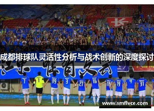 成都排球队灵活性分析与战术创新的深度探讨